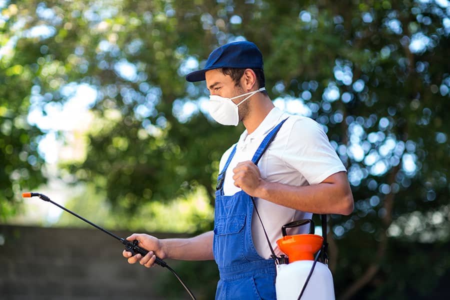 pest control exterminator